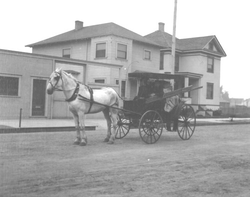 Click to see PIC 6-CHA-NEG 97 of Chapman Collection (PIC 6-CHA)