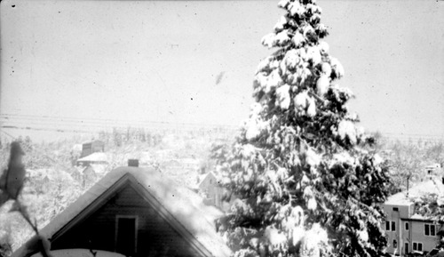 Click to see PIC 6-CHA-NEG 114 of Chapman Collection (PIC 6-CHA)