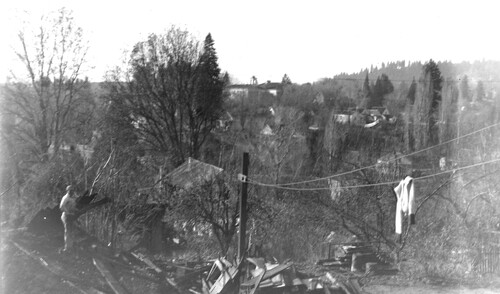 Click to see PIC 6-CHA-NEG 130 of Chapman Collection (PIC 6-CHA)