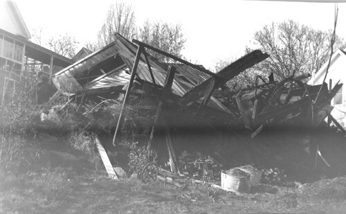 Click to see PIC 6-CHA-NEG 133 of Chapman Collection (PIC 6-CHA)