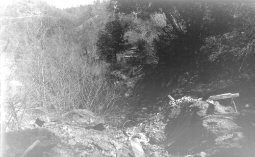 Click to see PIC 6-CHA-NEG 134 of Chapman Collection (PIC 6-CHA)