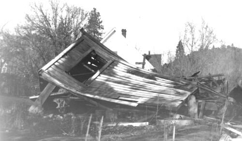 Click to see PIC 6-CHA-NEG 135 of Chapman Collection (PIC 6-CHA)