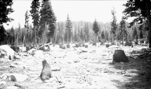 Click to see PIC 6-CHA-SCOUT 10 of Chapman Collection (PIC 6-CHA)