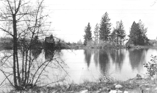 Click to see PIC 6-CHE 99 of Ruth Chesney Collection (PIC 6-CHE)