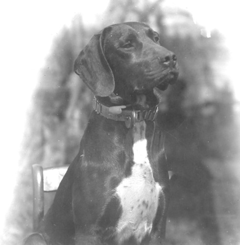 Click to see PIC 6-CRAIG 3 of Craig Family Album (PIC 6-CRAIG)