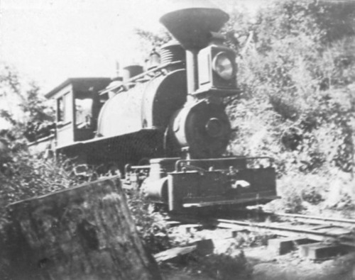 Click to see PIC 6-CRAIG 59 of Craig Family Album (PIC 6-CRAIG)