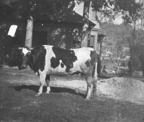 Click to see PIC 6-CRAIG 93 of Craig Family Album (PIC 6-CRAIG)