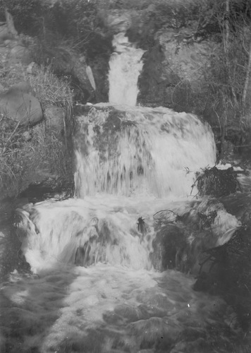 Click to see PIC 6-CRAIG 178 of Craig Family Album (PIC 6-CRAIG)