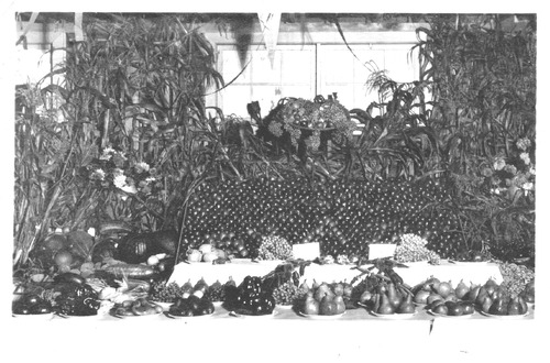 Click to view Nevada County Farm Bureau (PIC 6-FAR) Nevada County Farm Bureau (PIC 6-FAR)