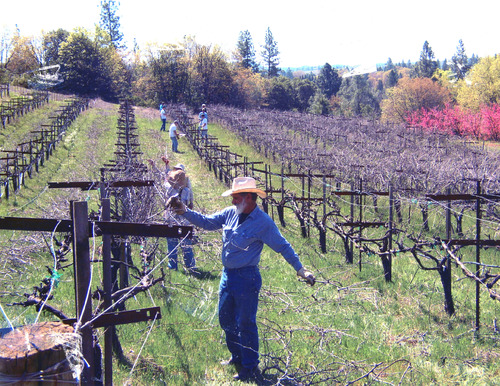 Click to see PIC 6-FAR 48 of Nevada County Farm Bureau (PIC 6-FAR)