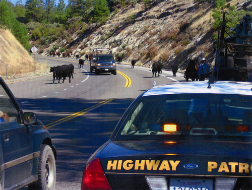 Click to see PIC 6-FAR 104 of Nevada County Farm Bureau (PIC 6-FAR)