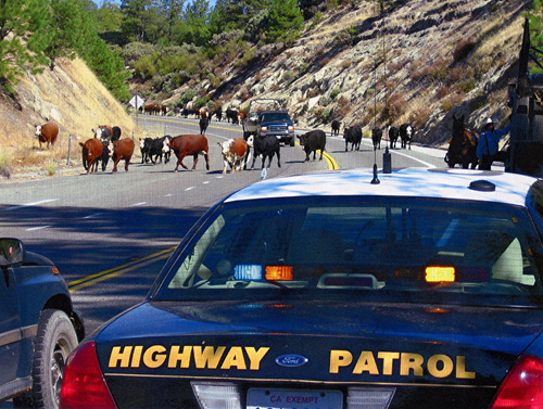 Click to see PIC 6-FAR 105 of Nevada County Farm Bureau (PIC 6-FAR)