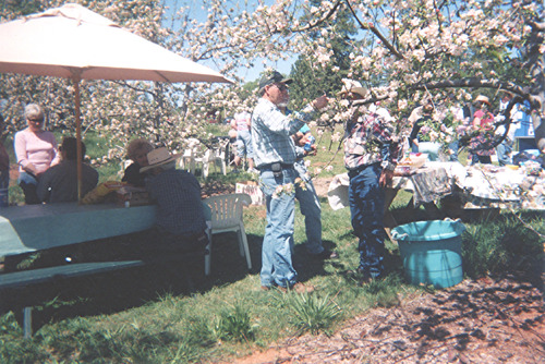 Click to see PIC 6-FAR 111 of Nevada County Farm Bureau (PIC 6-FAR)