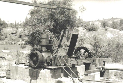 Click to see PIC 6-FIP 9 of Fippen Family album (PIC 6-FIP)