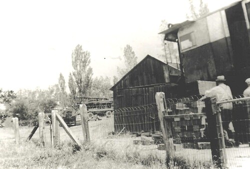 Click to see PIC 6-FIP 20 of Fippen Family album (PIC 6-FIP)