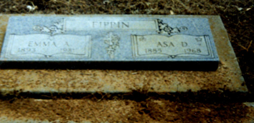 Click to see PIC 6-FIP 36 of Fippen Family album (PIC 6-FIP)