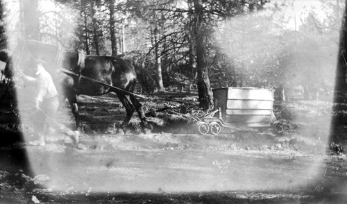 Click to see PIC 6-FOO 134 of Foote album (PIC 6-FOO)