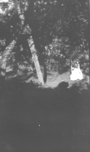 Click to see PIC 6-FOO 200 of Foote album (PIC 6-FOO)