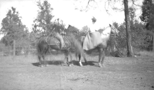 Click to see PIC 6-FOO 202 of Foote album (PIC 6-FOO)