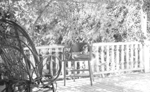 Click to see PIC 6-FOO 206 of Foote album (PIC 6-FOO)