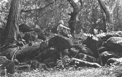 Click to see PIC 6-HAC 44 of Hackett Collection (PIC 6-HAC)