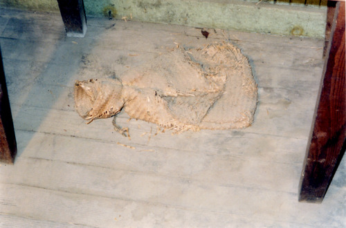Click to view PIC 6-HAG 128: PIC 6-HAG 128: