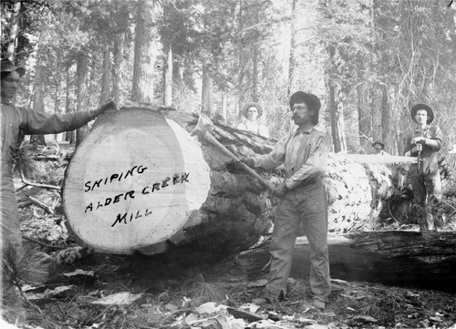 Click to see PIC 6-HM 162 of Hobart Mills (PIC 6-HM)