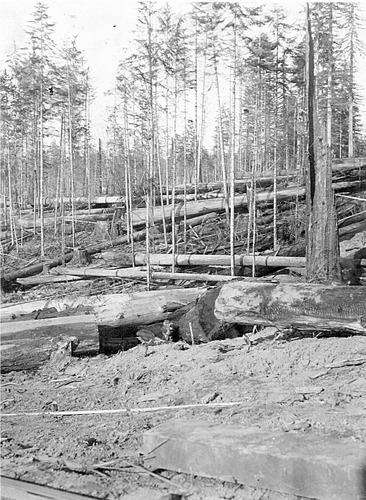 Click to see PIC 6-HM 167 of Hobart Mills (PIC 6-HM)