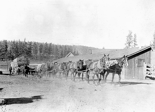 Click to see PIC 6-HM 185 of Hobart Mills (PIC 6-HM)
