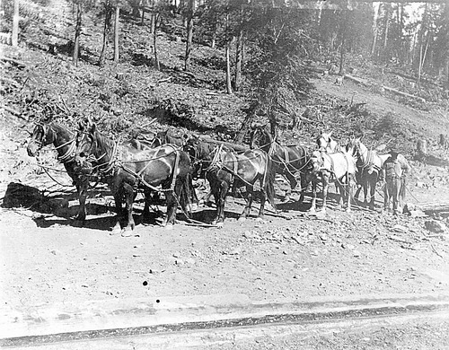 Click to see PIC 6-HM 188 of Hobart Mills (PIC 6-HM)