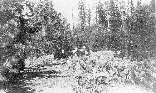 Click to see PIC 6-HM 193 of Hobart Mills (PIC 6-HM)