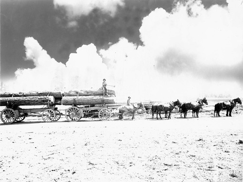 Click to see PIC 6-HM 195 of Hobart Mills (PIC 6-HM)