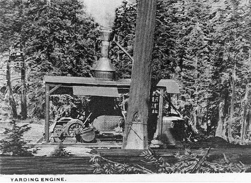 Click to see PIC 6-HM 236 of Hobart Mills (PIC 6-HM)