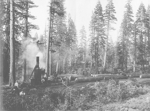 Click to see PIC 6-HM 243 of Hobart Mills (PIC 6-HM)