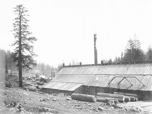 Click to see PIC 6-HM 267 of Hobart Mills (PIC 6-HM)