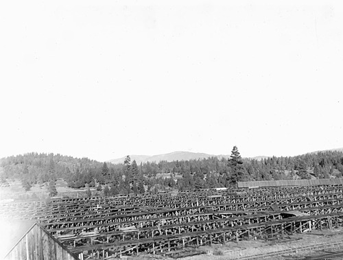 Click to see PIC 6-HM 329 of Hobart Mills (PIC 6-HM)