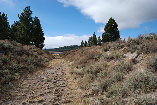 Click to see PIC 6-HM 487 of Hobart Mills (PIC 6-HM)