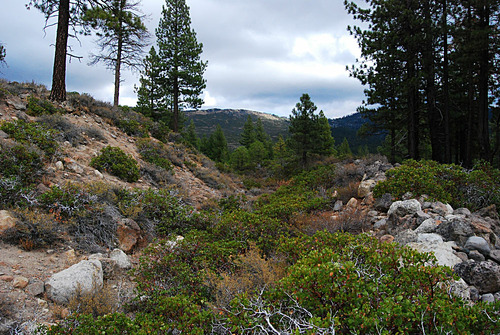Click to see PIC 6-HM 492 of Hobart Mills (PIC 6-HM)