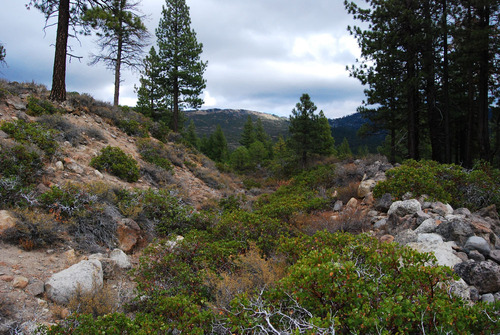 Click to see PIC 6-HM 610 of Hobart Mills (PIC 6-HM)