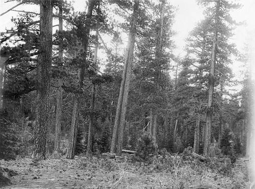 Click to see PIC 6-HM 617 of Hobart Mills (PIC 6-HM)