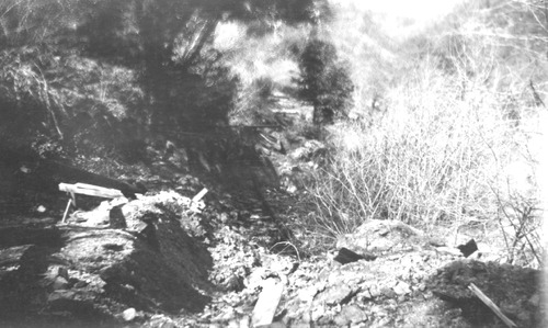 Click to see PIC 6-LEG 20 of Legg family album (PIC 6-LEG)