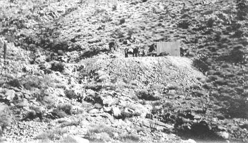 Click to see PIC 6-LEG 40 of Legg family album (PIC 6-LEG)