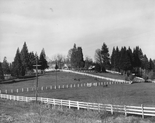 Click to see PIC 6-LIT 10 of Litton Family Album (PIC 6-LIT)