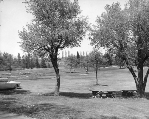 Click to see PIC 6-LIT 14 of Litton Family Album (PIC 6-LIT)