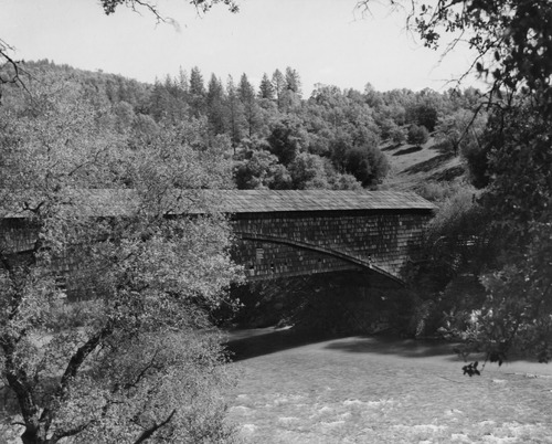Click to see PIC 6-LIT 20 of Litton Family Album (PIC 6-LIT)