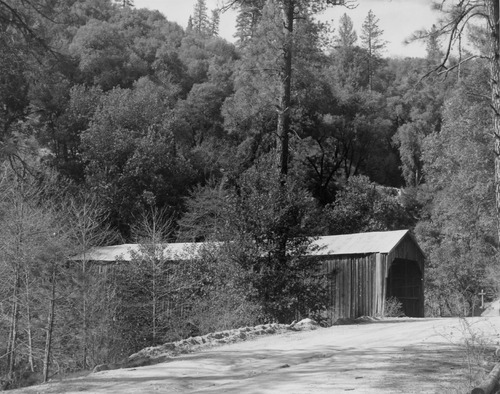 Click to see PIC 6-LIT 24 of Litton Family Album (PIC 6-LIT)