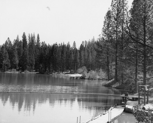 Click to see PIC 6-LIT 35 of Litton Family Album (PIC 6-LIT)