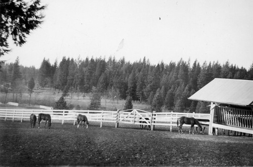 Click to see PIC 6-LOM 9 of Loma Rica Ranch (PIC 6-LOM)