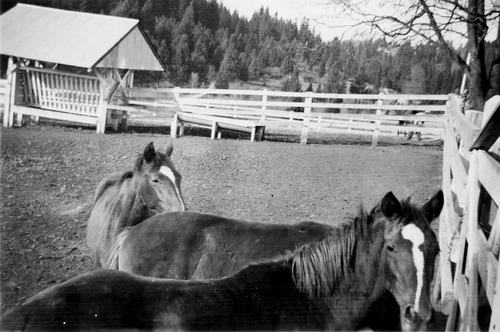 Click to see PIC 6-LOM 10 of Loma Rica Ranch (PIC 6-LOM)