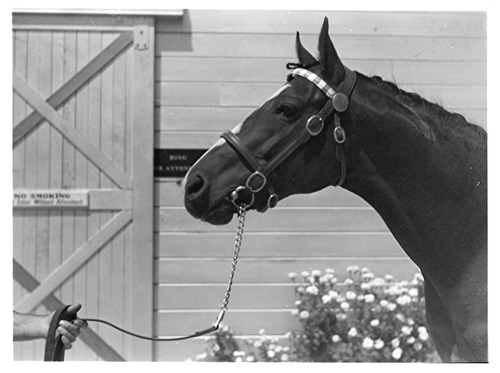 Click to see PIC 6-LOM 12 of Loma Rica Ranch (PIC 6-LOM)